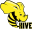 Hive